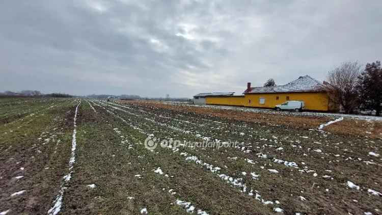 4001 m2-es szántó eladó Tiszakécske külterületén