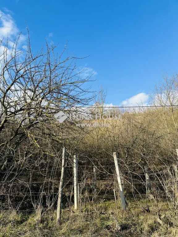 Telek Eladó in Tokod, Dunántúl