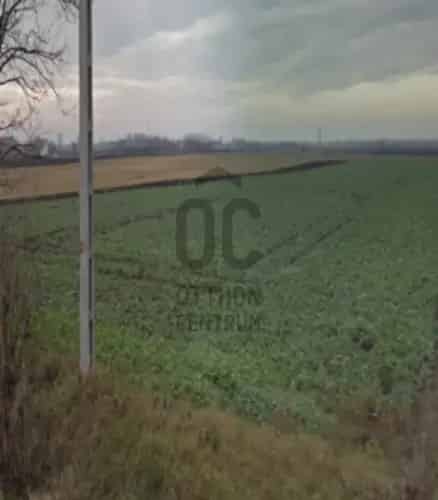 Sárszentágotai eladó telek 13317 m2 befektetőknek és gazdálkodóknak