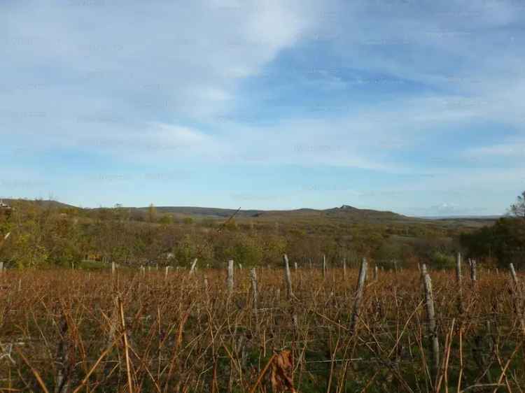 Zártkerti telek eladó Köveskálon a Balaton közelében