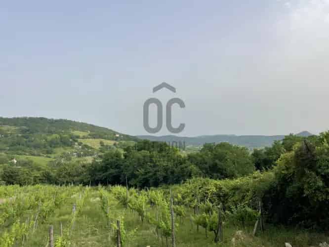 Mindszentkállai eladó telek 4486 nm - panoráma