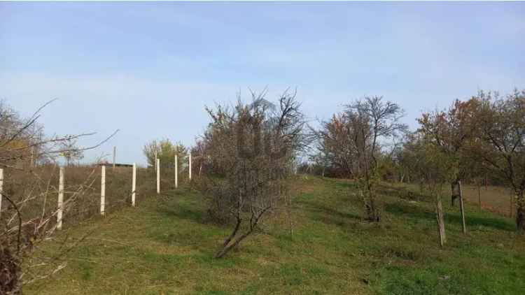 Eladó nyaraló Balatonkenesén, pihenős kerttel közel a vízhez