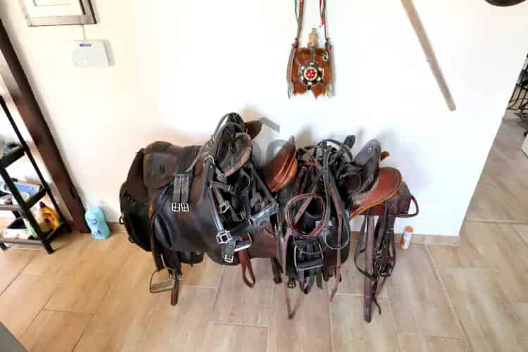 Kecskemét Matkó tanya eladó 68 m2 5755 m2 területtel