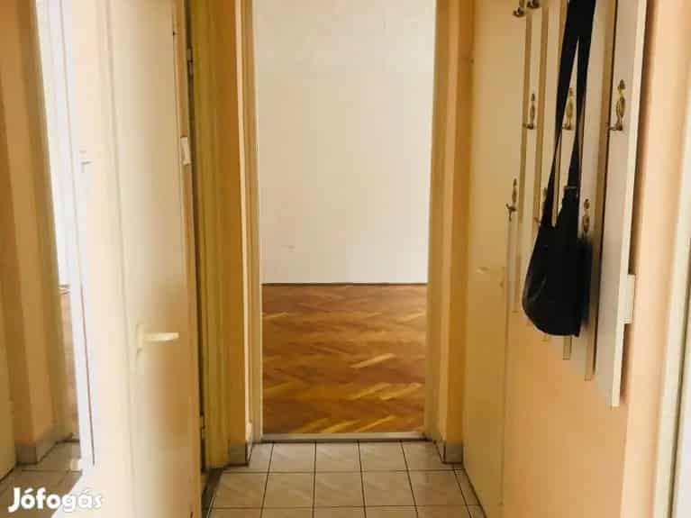 Ajkai 2 1 szobás lakás eladó jó elosztással