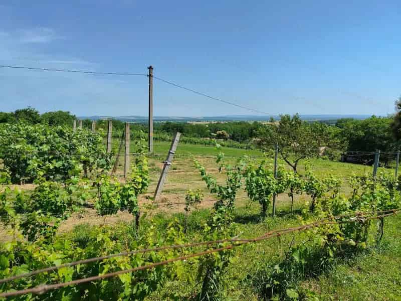 Pacsa ZÁRTKERT eladó - 2200 nm telek, ház, szőlő, gyümölcs