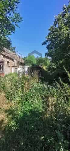 Tardosi sorház eladó 55m2 183m2 telken