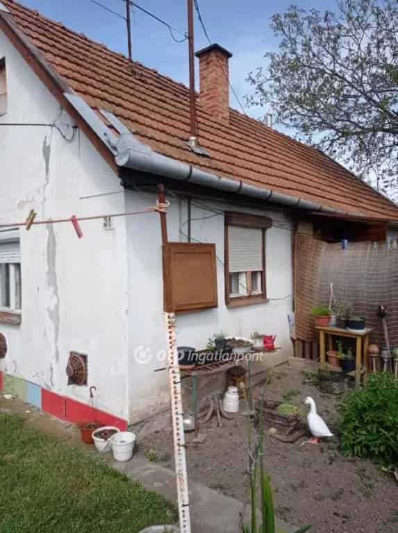 Gyulavári telek eladó gazdasági épülettel és szomszédos telkekkel