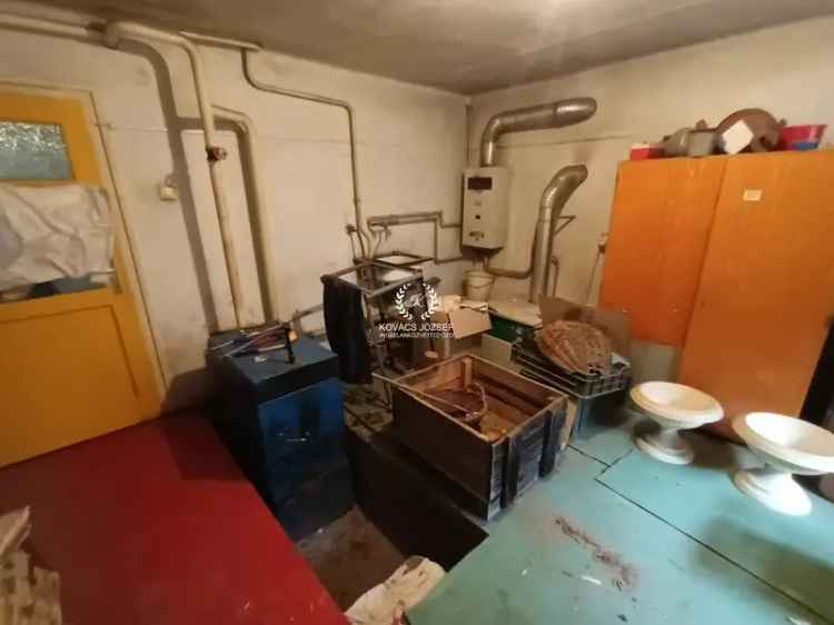 Özdi 5 szobás családi ház eladó nagy telekkel
