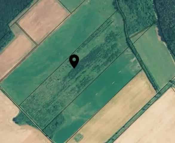 7 ha-os bekerített erdő eladó Hidegkút közelében