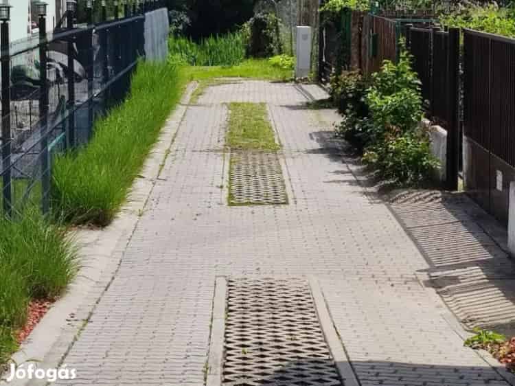 Szigethalmi hétvégi ház stéggel eladó - Kis-Duna holtág