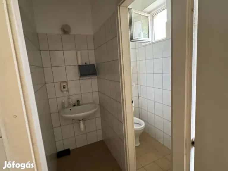 Eladó üzlethelyiségek Pásztón 110nm