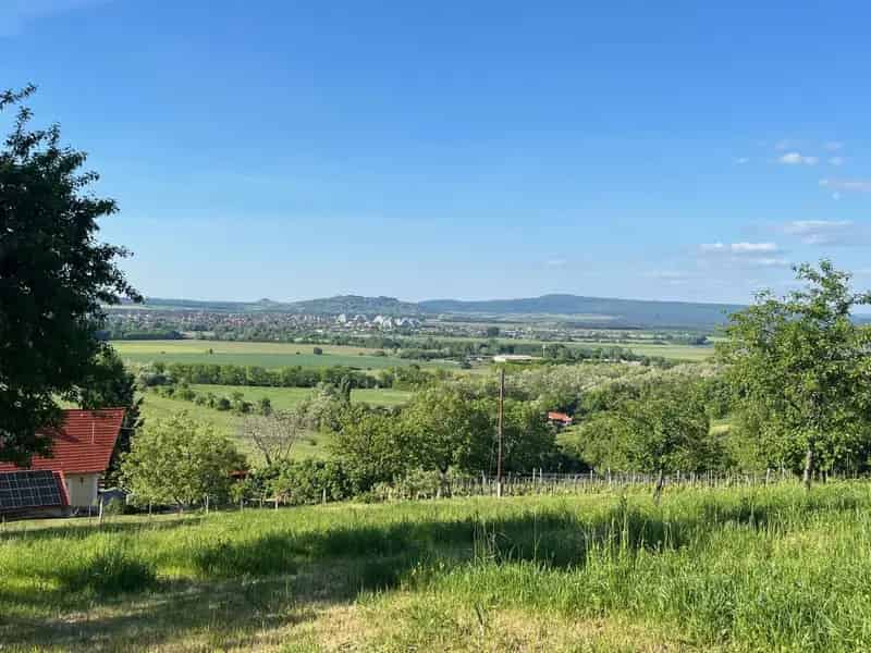 Szent György-hegyi szőlő, gyümölcsös, faház panorámával