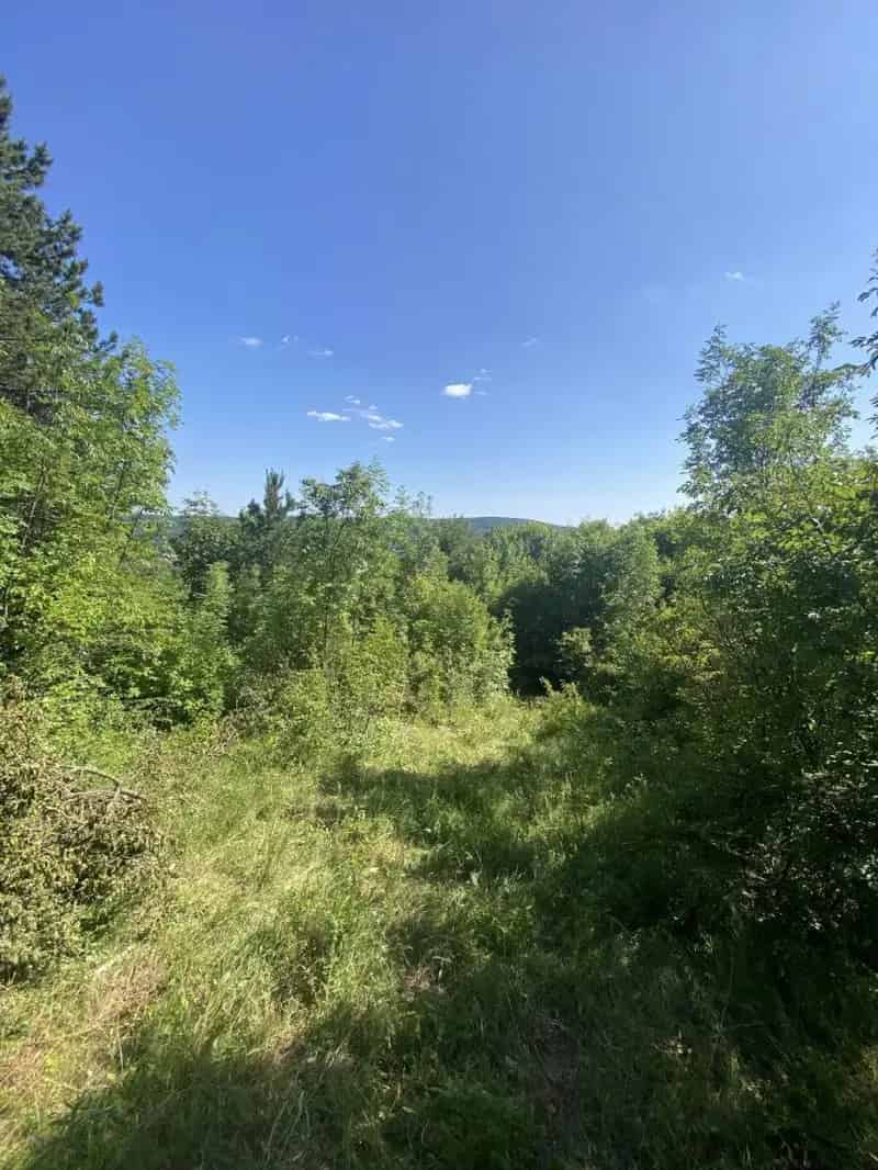 Nagykovácsi panorámás építési telek eladó 973 m²