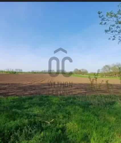 Somogyviszlói eladó telek házrészlettel 8000m2
