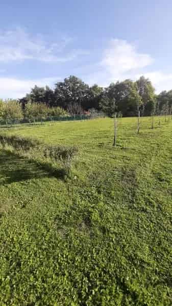 Dörgicse Belterületi Telek Eladó Panorámával