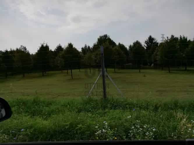 Oroszlányi Ipari Telek Elado - Beuzepites 50%