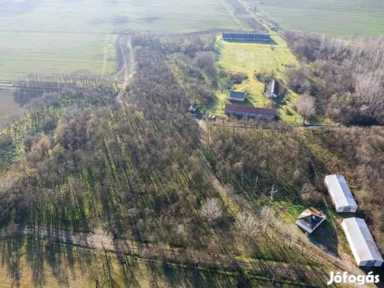 5 5 Hektaros Ipari es Mezogazdasagi Terulet Elado M6 M8 Kozel