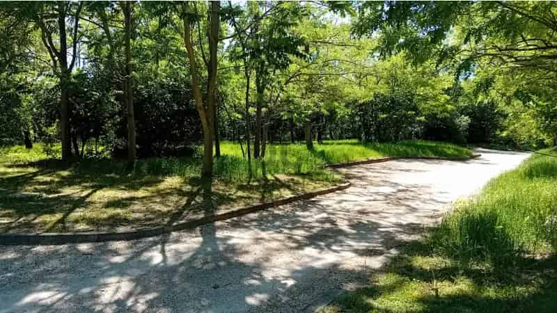 Szólád Robiniapark építési telek eladó