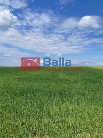 Fót Kisalag 28770 m2-es szántóföld eladó