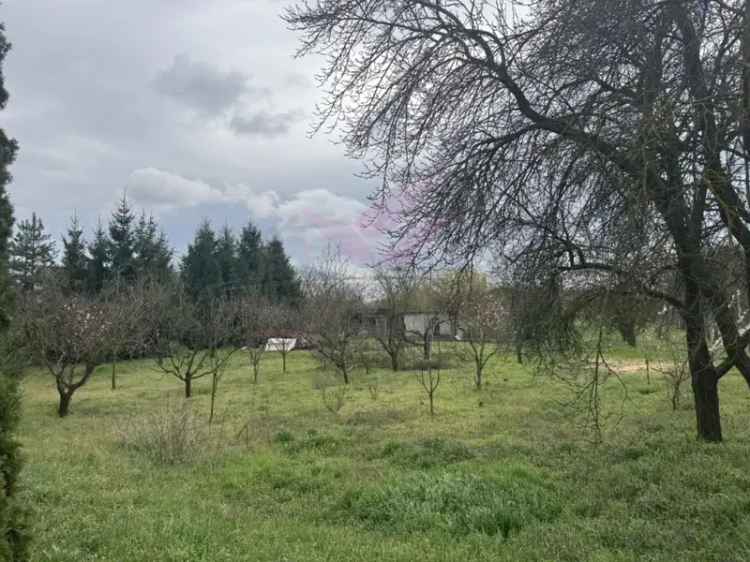 1000 m2-es Üzleti Telek Aszfaltozott utcában