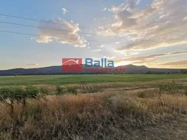 Pócsmegyer , Surány