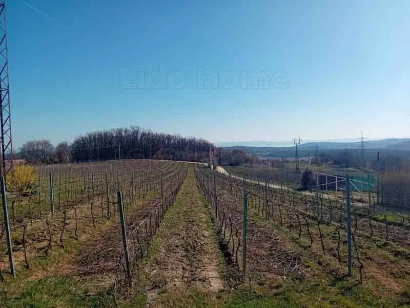 Balatonszőlősi Szőlőbirtok Eladó Borospincével és Nyaralóval
