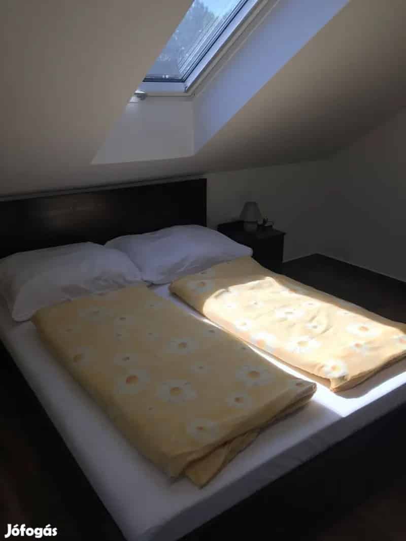 Békésszentandrás Luxus Nyaraló Eladó 6 Szoba Jakkuzzi Medencével
