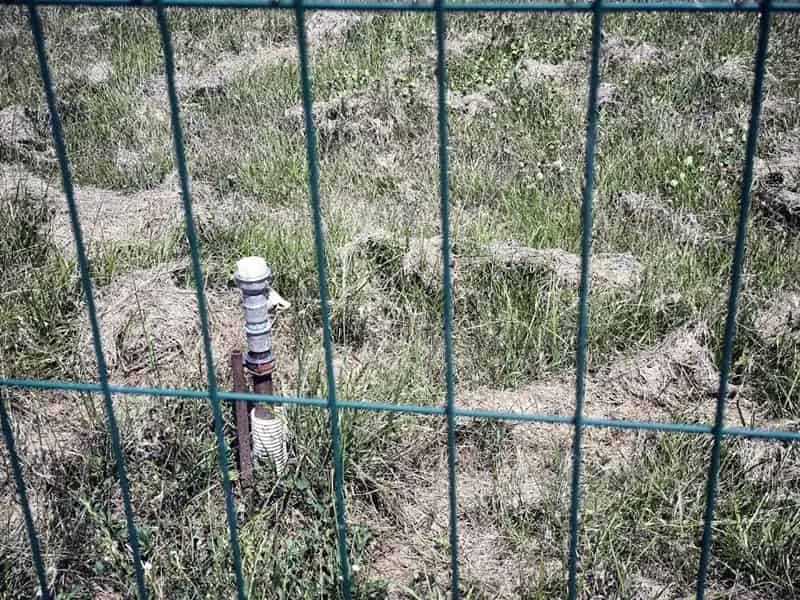 Koronc csendes utcai építési telek eladó