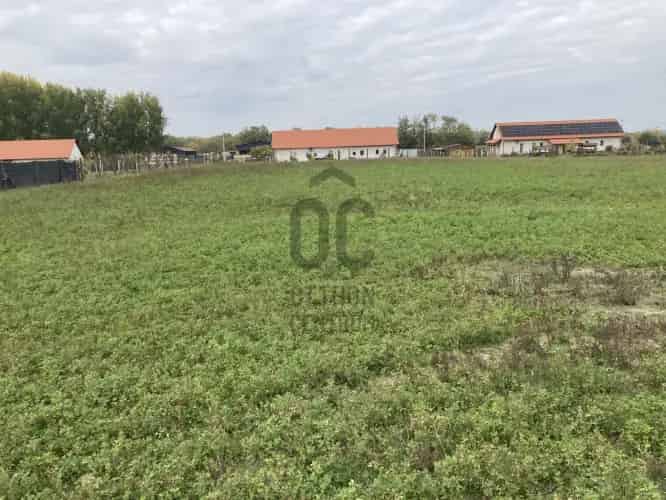 Kecskeméti eladó mezőgazdasági ingatlan 26000 m2