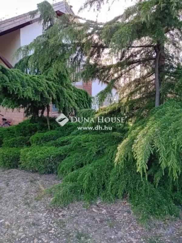Kecskemét közeli mesebeli otthon 5755m2 telken
