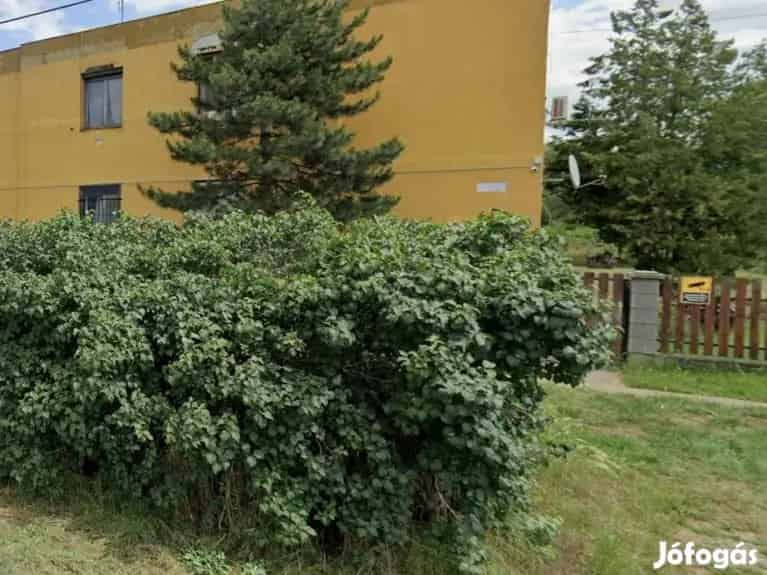 Eladó lakás Ercsiben 61m2 2 szoba összkomfortos