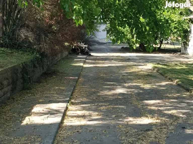 8500 m2 Belterületi Telek Dunaújvárosban Faházakkal