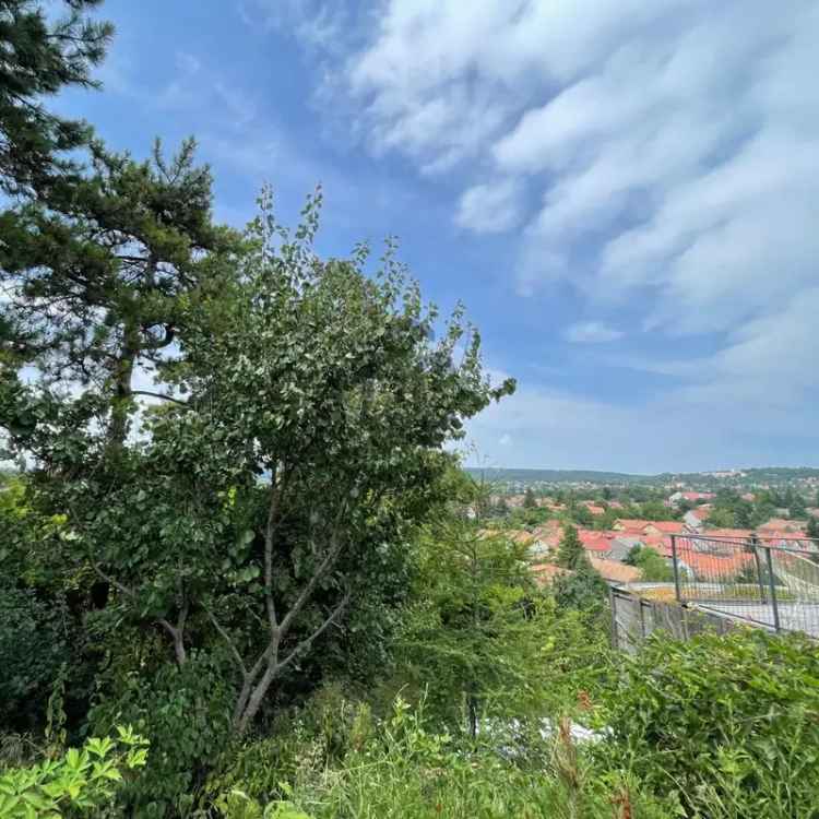 Telek eladó Budakeszin csendes környezetben panorámás kilátással