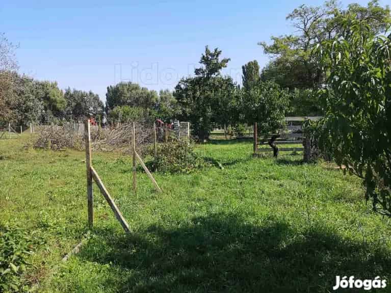 Kunsziget Építési Telek Eladó 700 m2