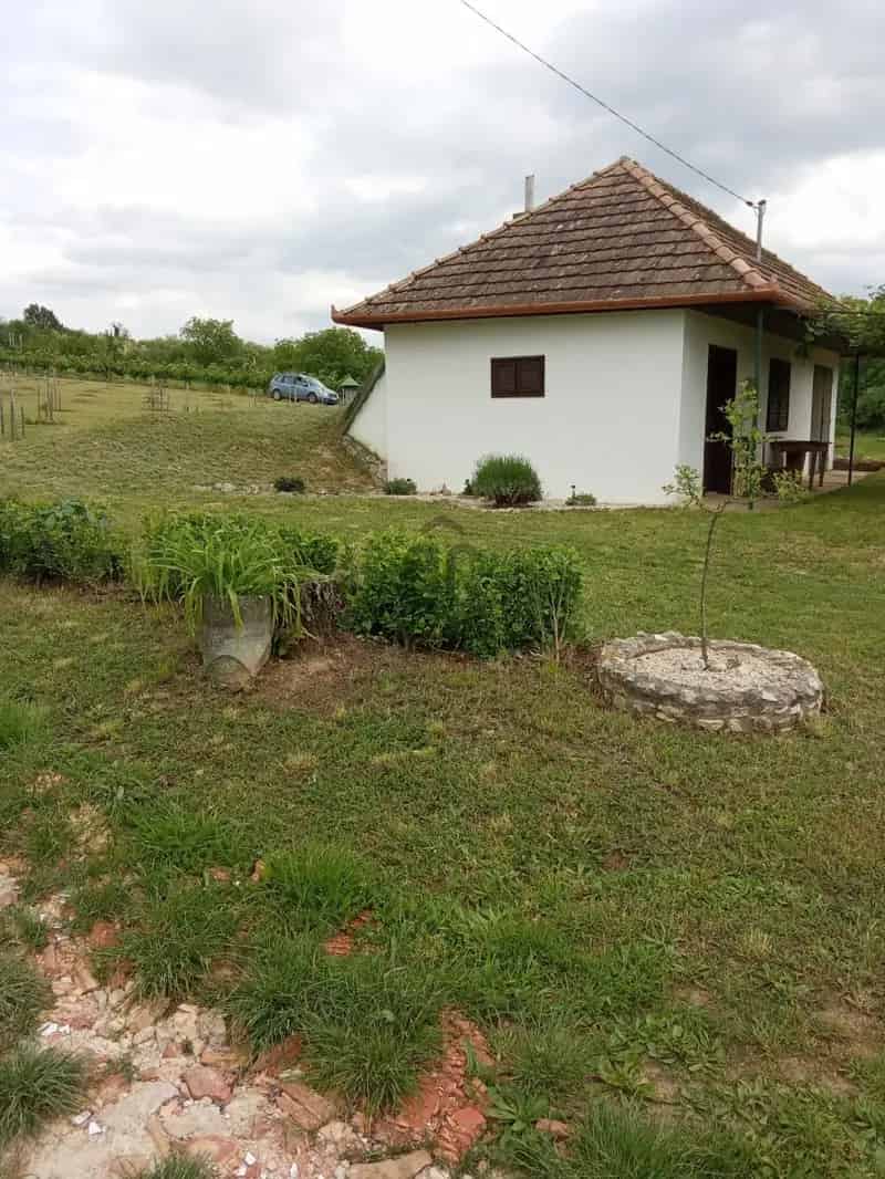 Szőlőbirtok Eladó Tabon Panorámás Kilátással