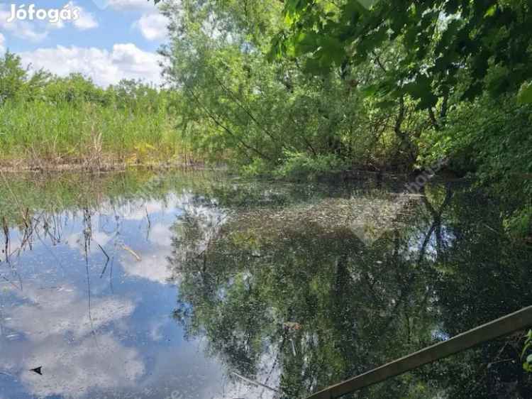 Eladó Telek Rábacsanakon toval 1 1148 hektar