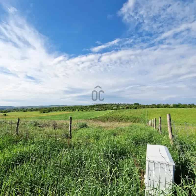 11300 m2-es Szántó eladó Őrbottyán környékén