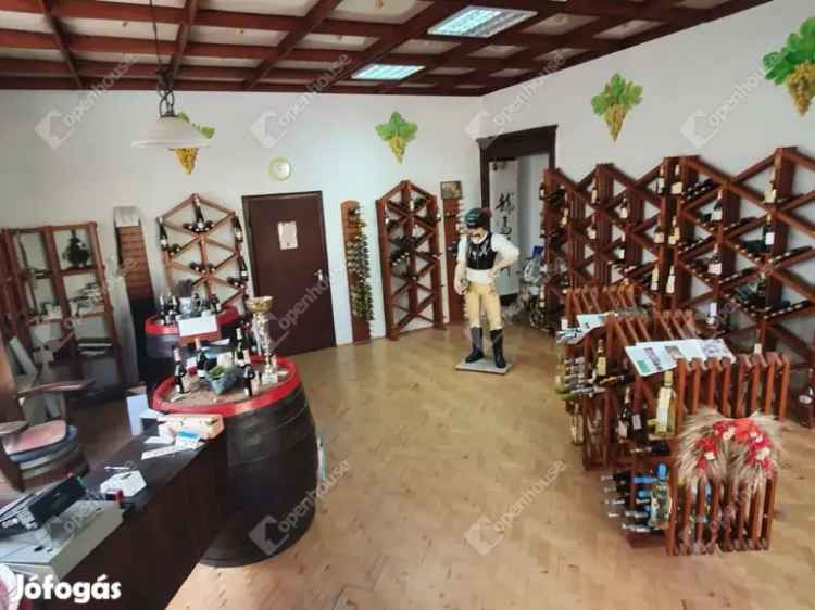 Borház és Borkóstoló Pince Eladó Tolcsván