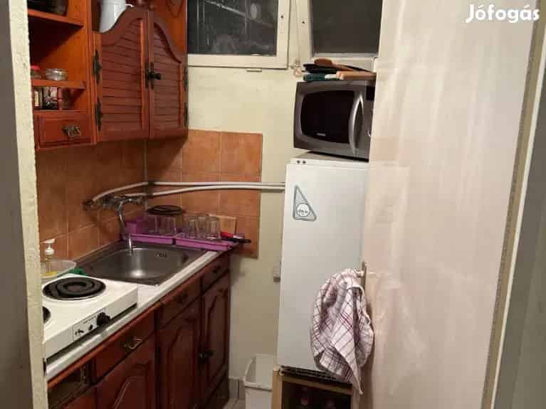 Szegedi fa üdülőház 851 m2-es telken eladó