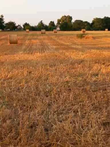 Balatonszabadi Mezőgazdasági Telek Eladó