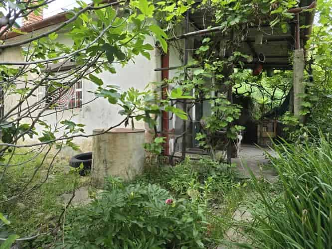 Pécsi eladó telek Szabolcsfalun 1246 m2 présházzal