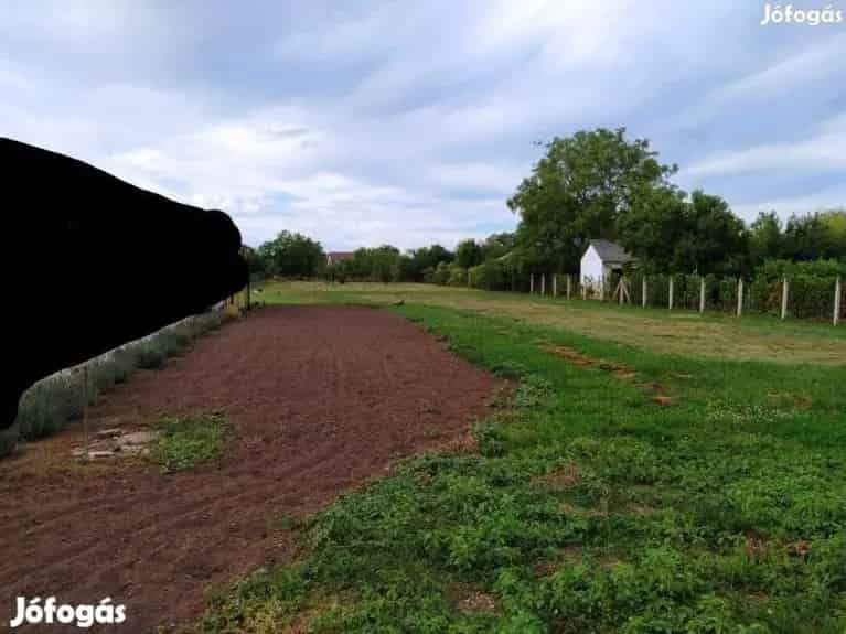 2200 nm-es Építési Telek Eladó Debrecen Felsőjózsán