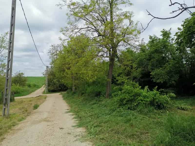 Vértesacsa Gyógyítóvölgyi Telek Eladó