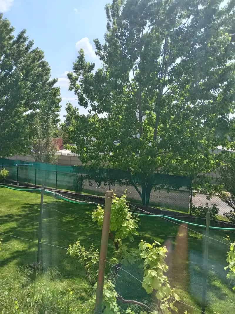 Vámosszabadi 3 szobás családi ház eladó