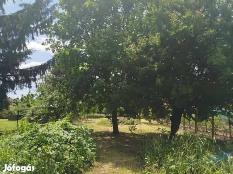 Eladó telek Alsózsolca - 526 m2 beépíthető