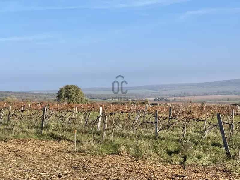 Sopron Virágvölgy 1778 m2-es telek eladó panorámával