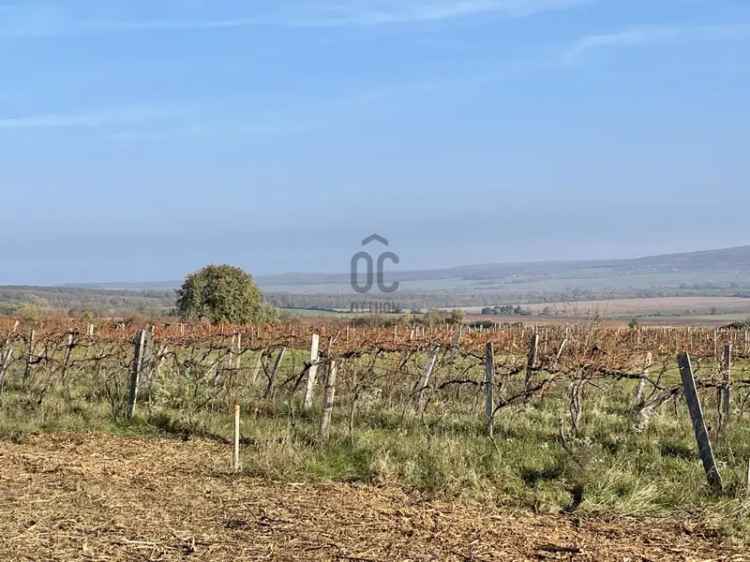 Befektetés Sopronban belterületi telek eladó panorámával