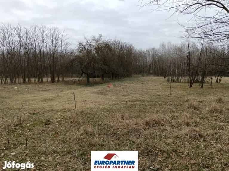 Bontandó tanya eladó Csemő Mikebuda határán 3150 m2 földdel