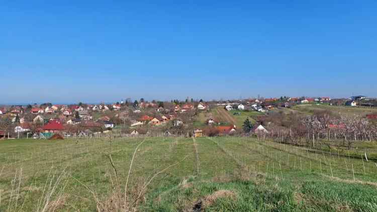 Zamardi Kőhegy Panorámás Telek Elado