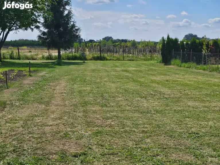 Gencsapati kiskert elado patakparton 1232 m2